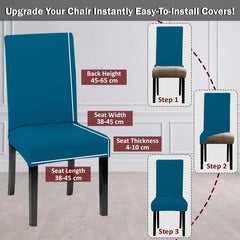 LAZI | Upgrade your chair with chair covers from livebetterindia.com