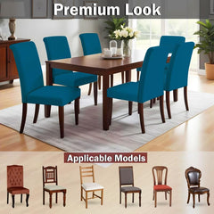 LAZI | Premium dining chair cover for living room on livebetterindia.com