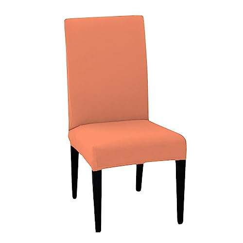 LAZI | Peach Dining chair cover for chair on livebetterindia.com