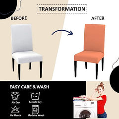 LAZI | polycotton chair slipcover for dining chair on livebetterindia.com