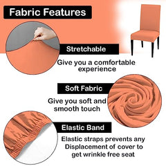 LAZI | easy and stretchable seat cushion cover on livebetterindia.com