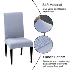 LAZI | Soft Stretchable Chair cover on livebetterindia.com
