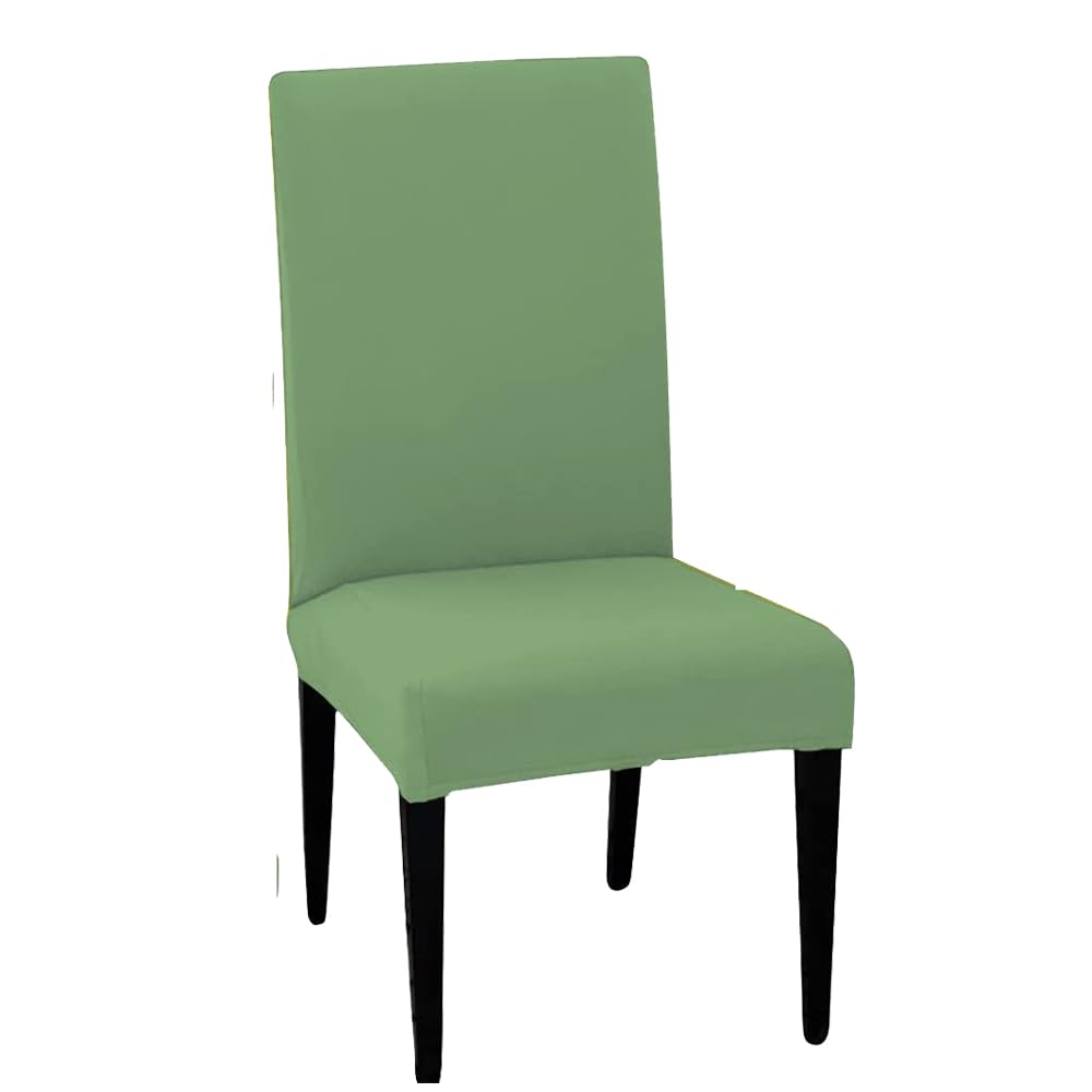 LAZI | Green Dining Chair cover and cushion protector on livebetterindia.com