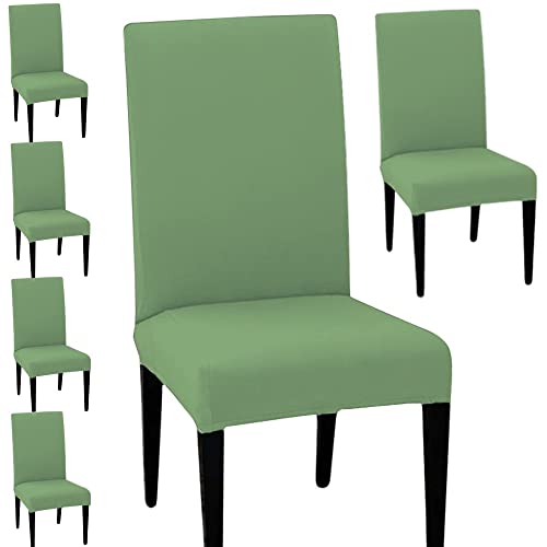 LAZI | 6 dining chair slipcover and cushion protector on livebetterindia.com
