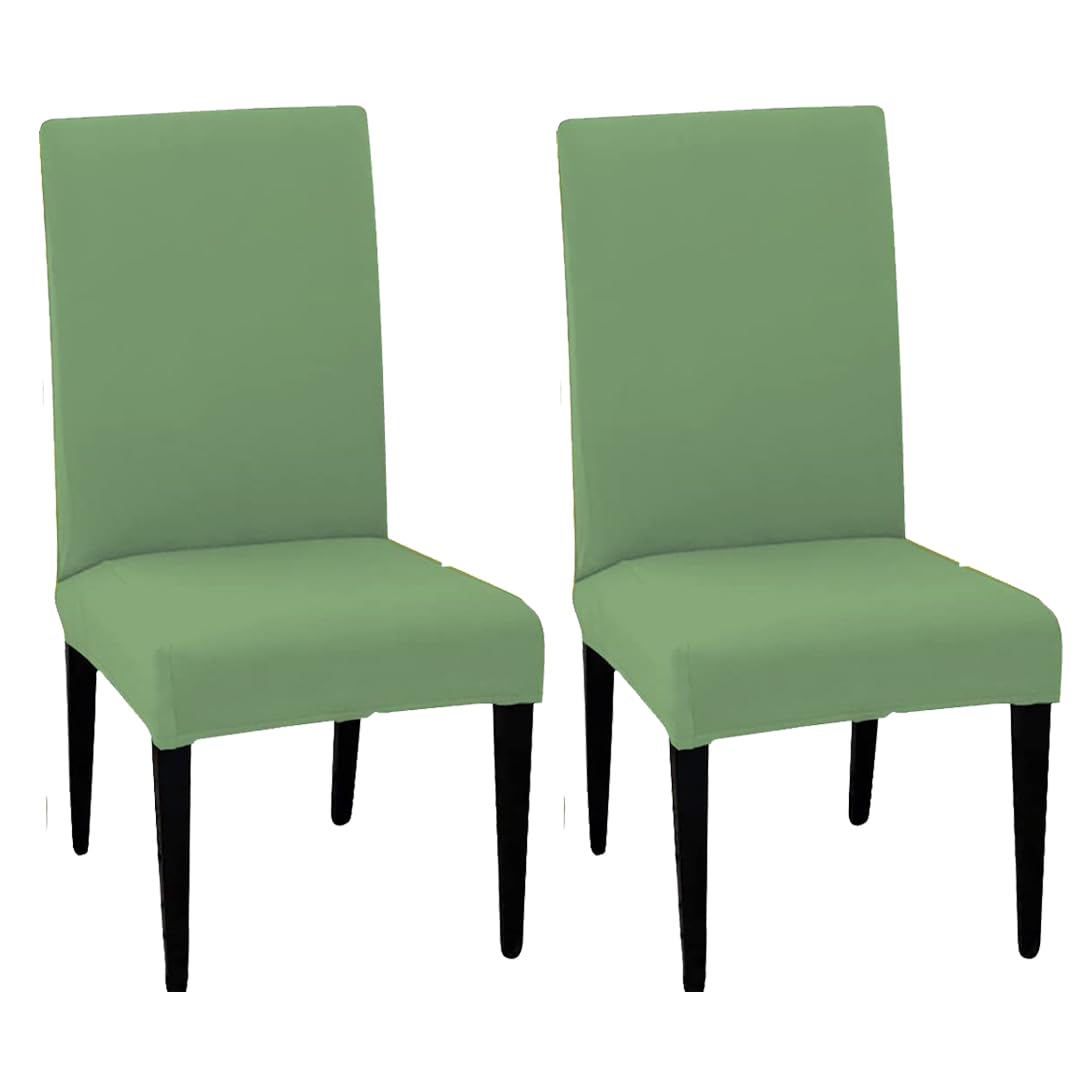 LAZI | Green set of 2 green chair cover on livebetterindia.com